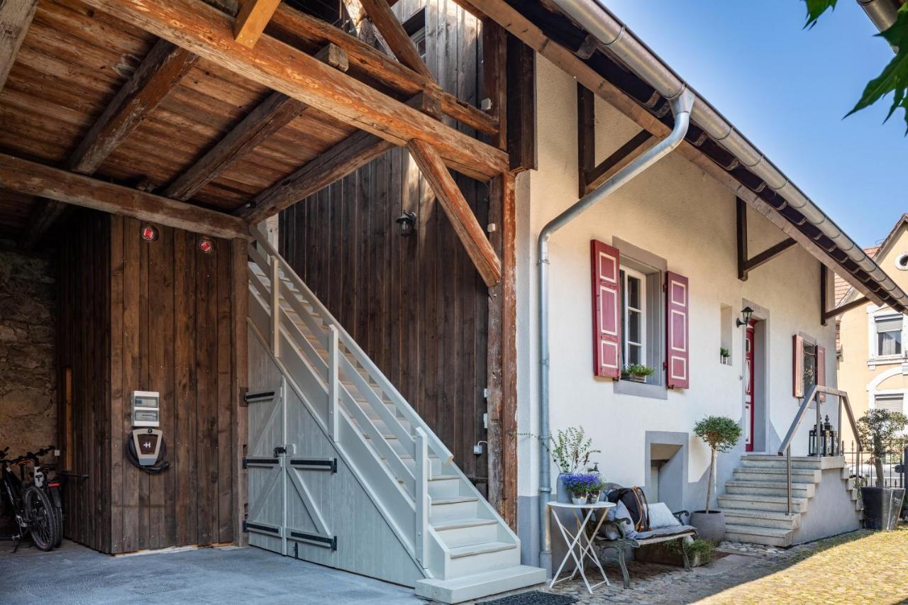 Kleiner Hof Rosenrot Leilighet Endingen am Kaiserstuhl Eksteriør bilde